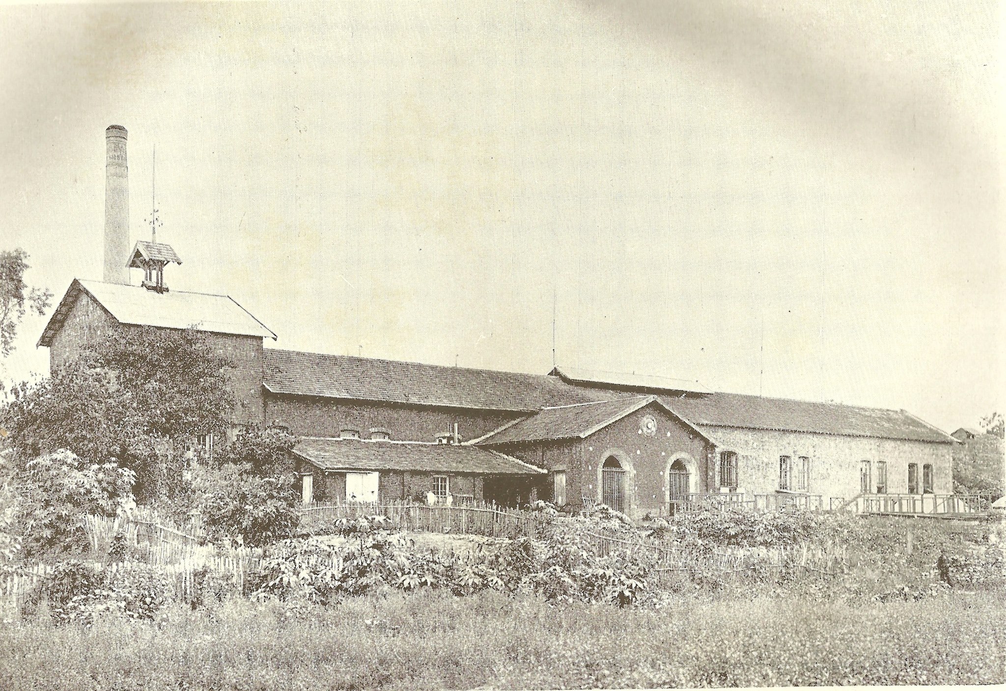 misionarq_0104_1666223271_8369.jpg